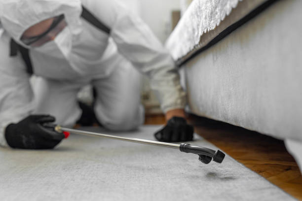 Professional Termite Control technician working in Henry County County, MO